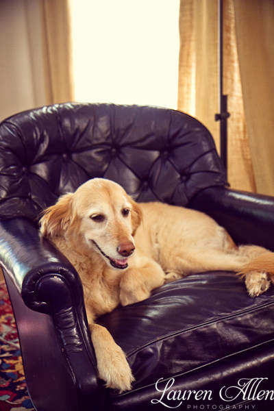 Ella has her own chair. 